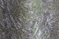 Hartwith fibreglass roof work